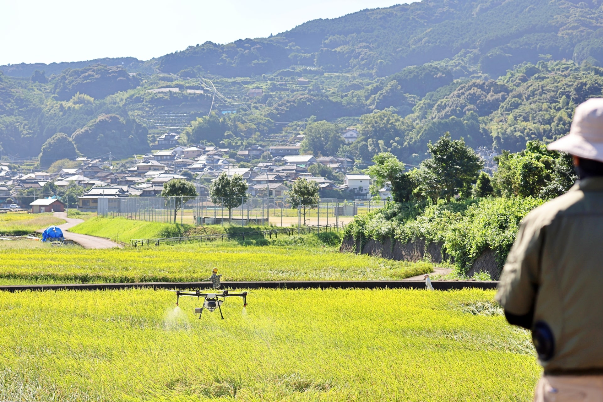 ドローン資格を取得して農業用ドローンで農薬散布をしている風景